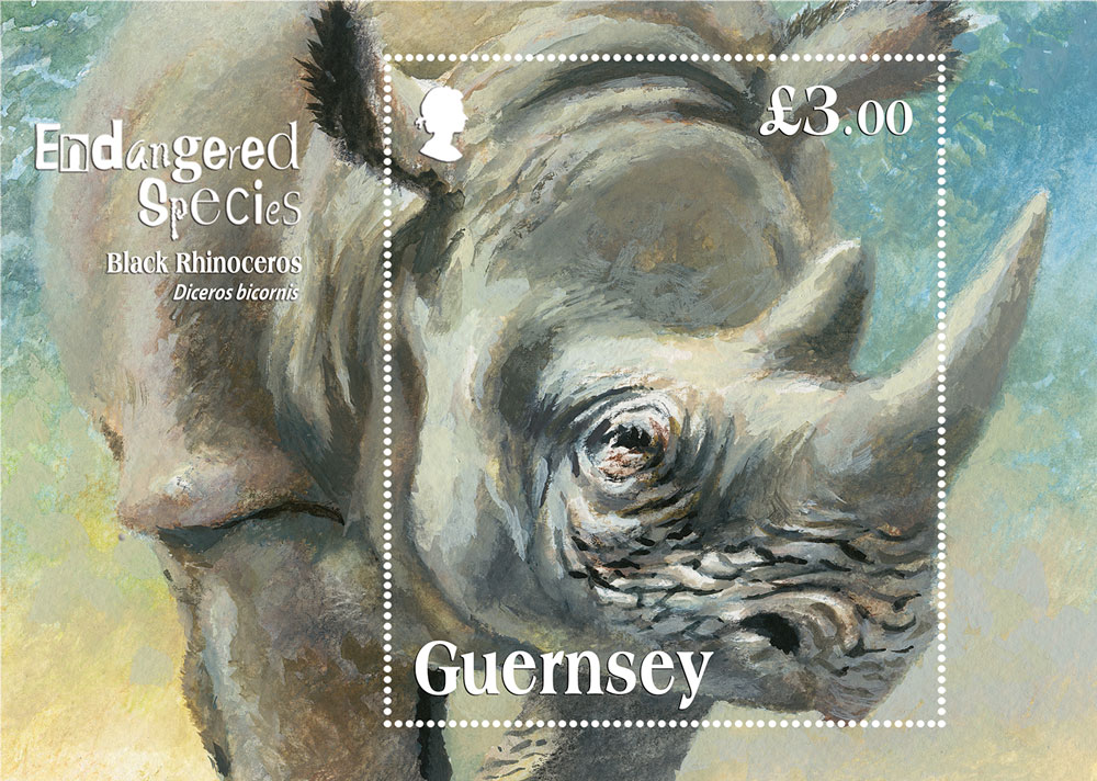 Guernsey Post stamp depicts critically endangered Black Rhino
